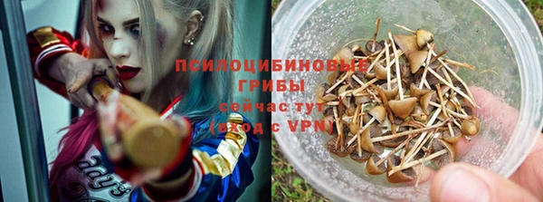 бошки Дмитровск