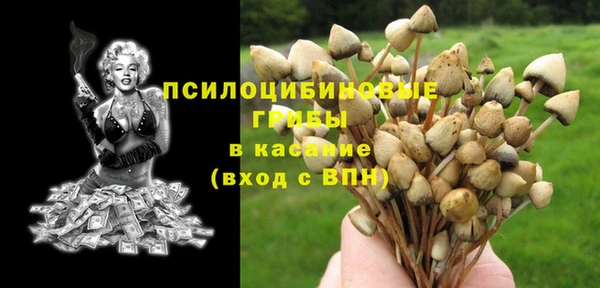 трава Нея